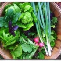 Produce