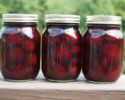 Pickled-beets