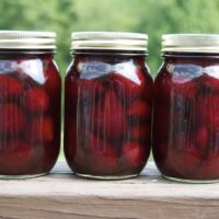 Pickled-beets