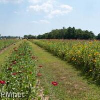 Suttler Post Farm