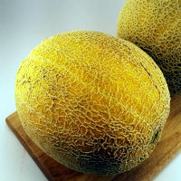 cantaloupe