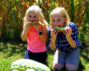 melon-bundle-kids_lg