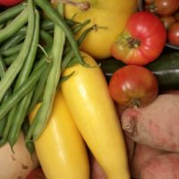 seasonal-produce-mixed-septmber15