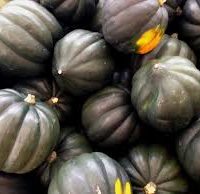 acorn-squash2