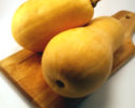 butternut_squash_lg