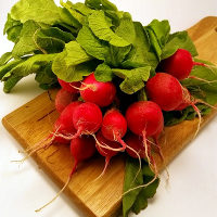 radishes