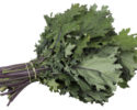 kale-red-russian
