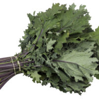 kale-red-russian