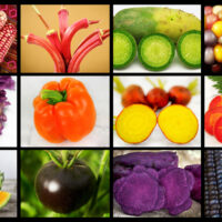 Baker Creek Heirloom Seeds Rareseeds.com