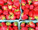 fresh local strawberries (actual product image) somdgrowers.com