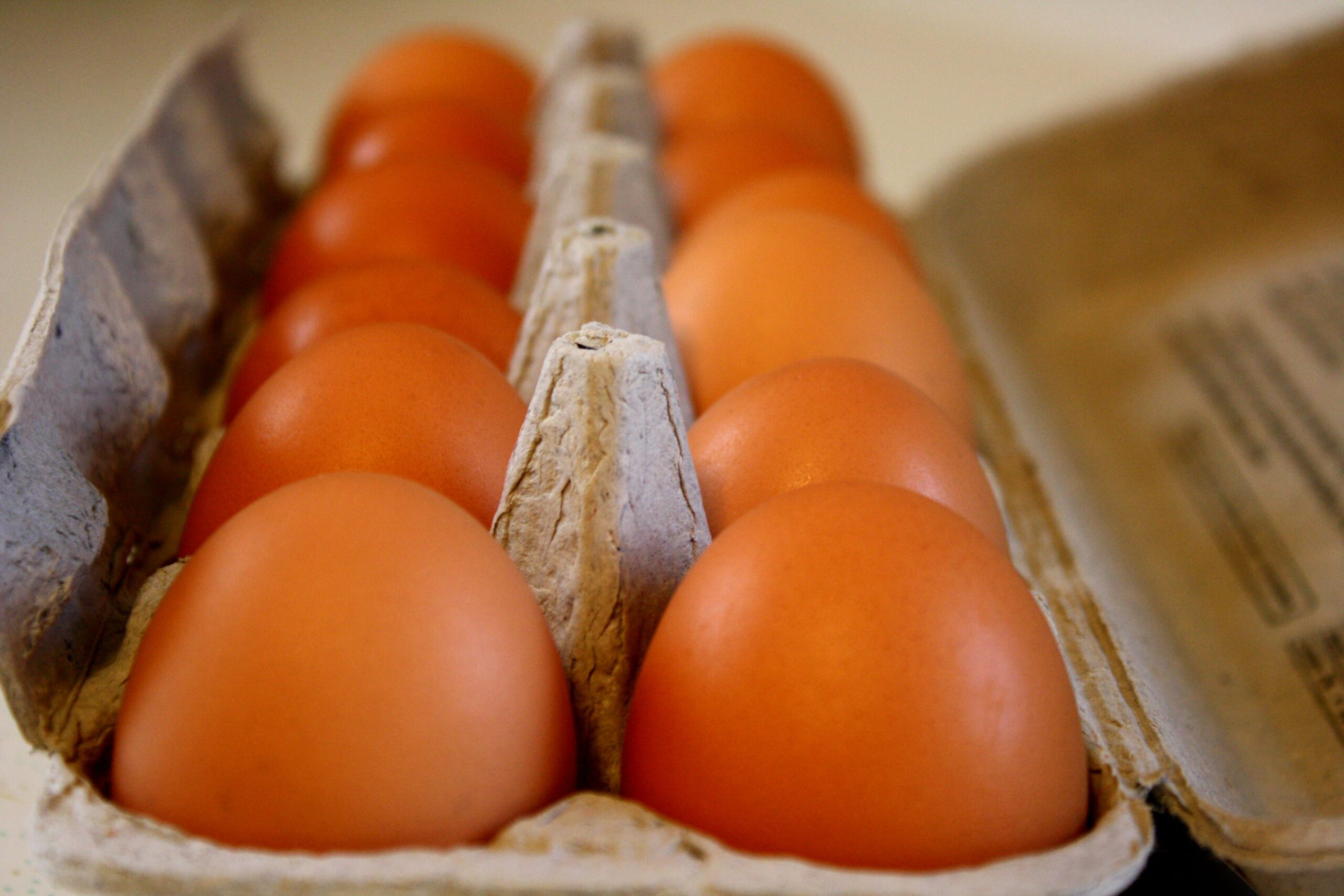 Eggs Add On Subscription